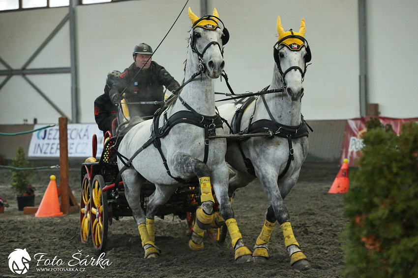 Hradištko 2019 - spřežení