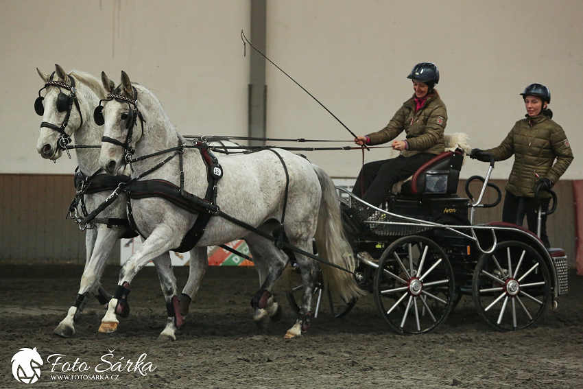 Hradištko 2019 - spřežení