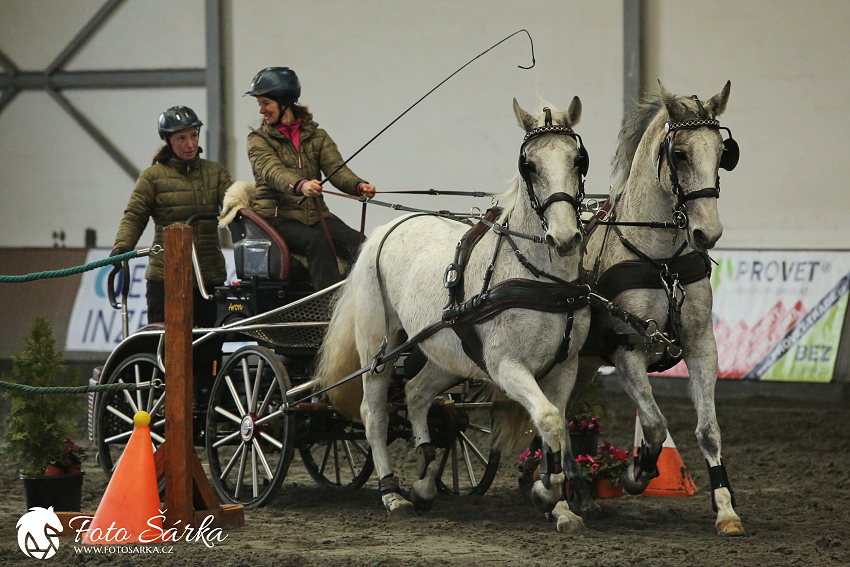 Hradištko 2019 - spřežení