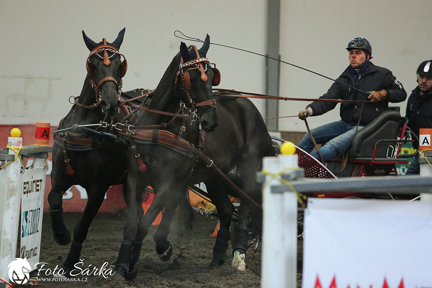 Hradištko 2019 - spřežení