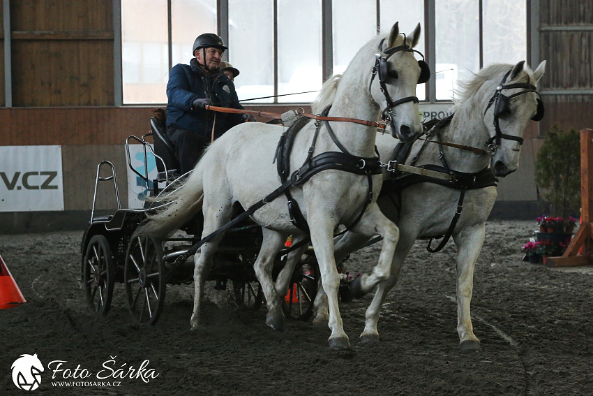 Hradištko 2019 - spřežení