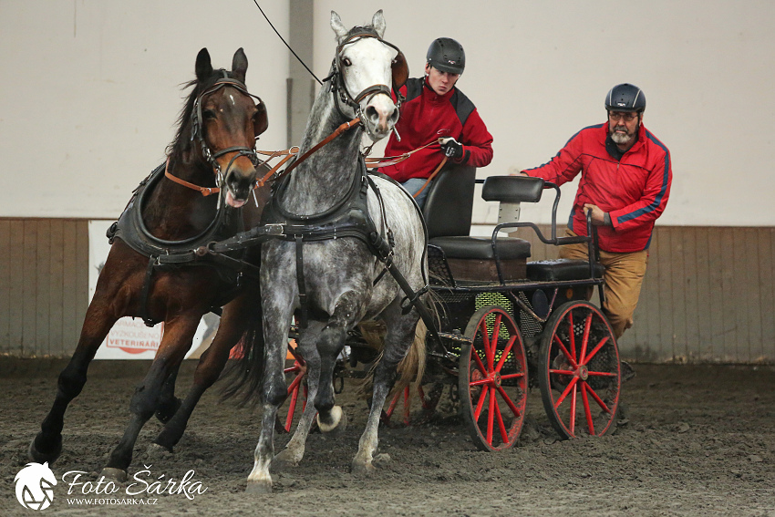 Hradištko 2019 - spřežení