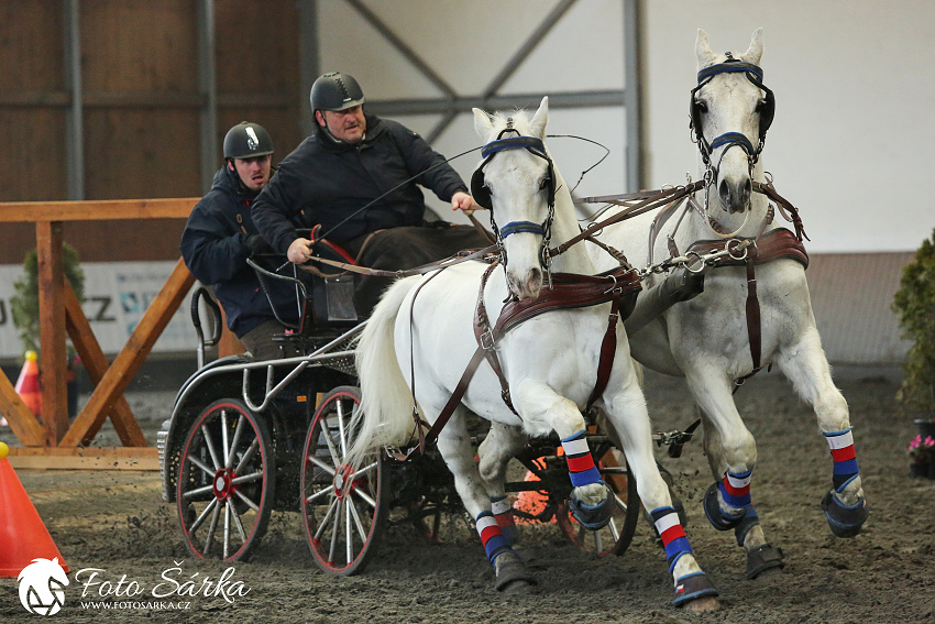 Hradištko 2019 - spřežení