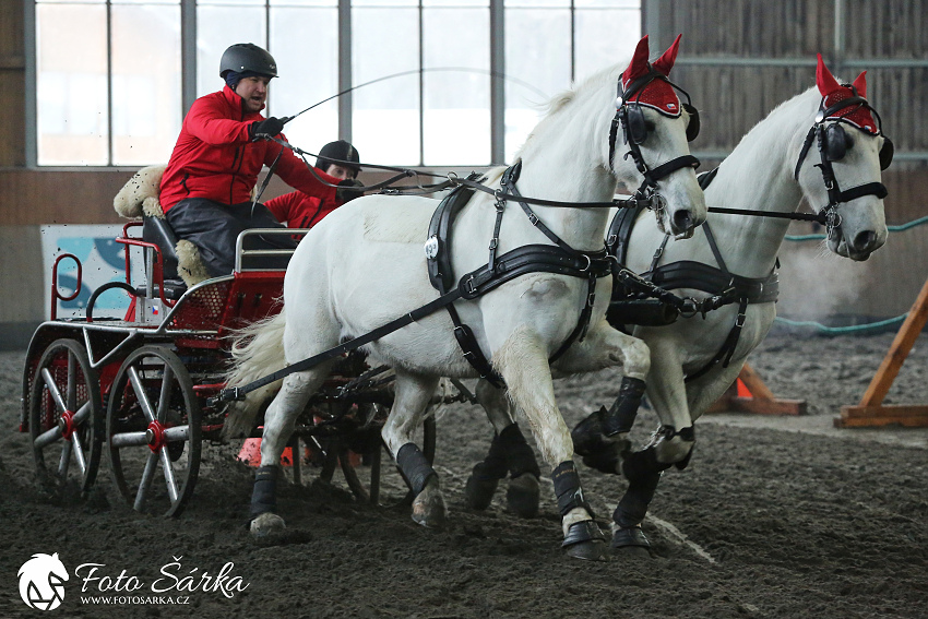 Hradištko 2019 - spřežení