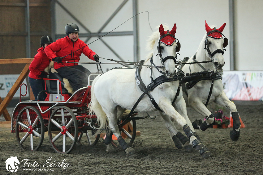 Hradištko 2019 - spřežení