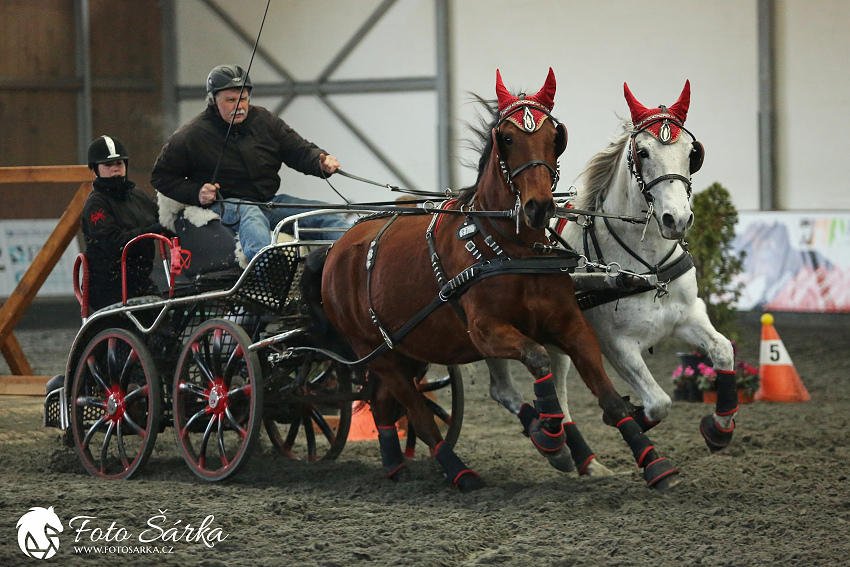 Hradištko 2019 - spřežení