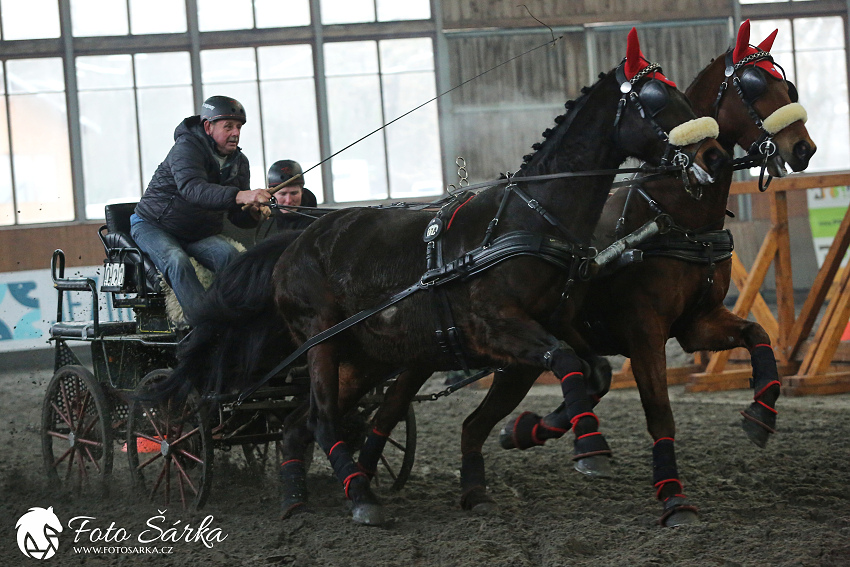 Hradištko 2019 - spřežení