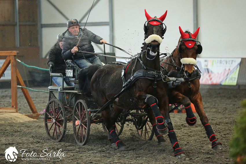 Hradištko 2019 - spřežení