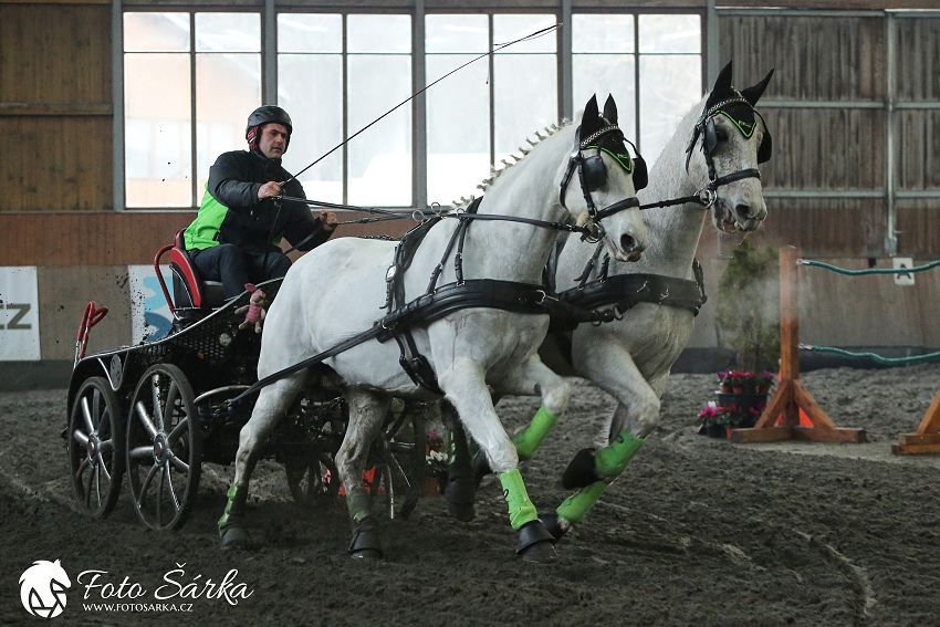 Hradištko 2019 - spřežení