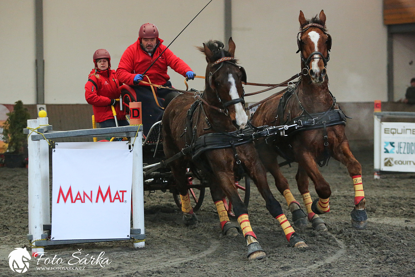 Hradištko 2019 - spřežení