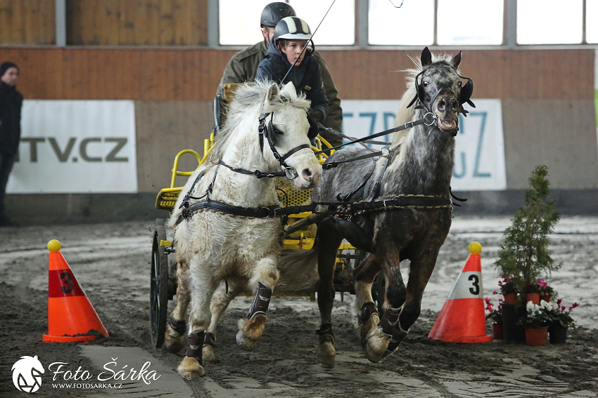 Hradištko 2019 - spřežení