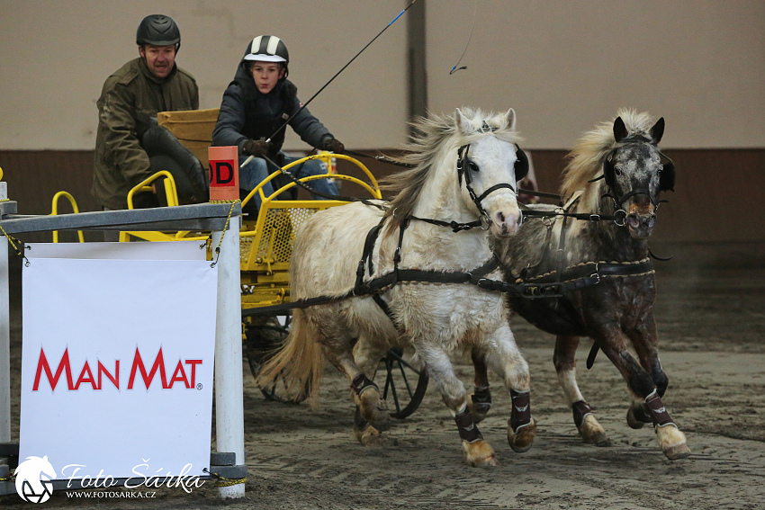 Hradištko 2019 - spřežení