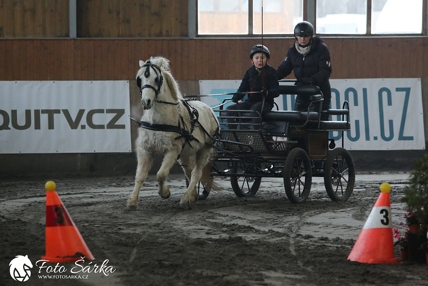 Hradištko 2019 - spřežení
