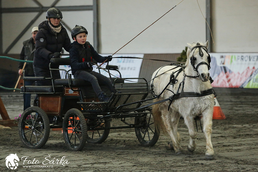 Hradištko 2019 - spřežení