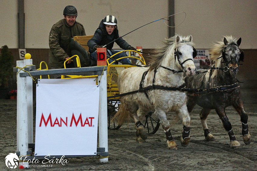 Hradištko 2019 - spřežení