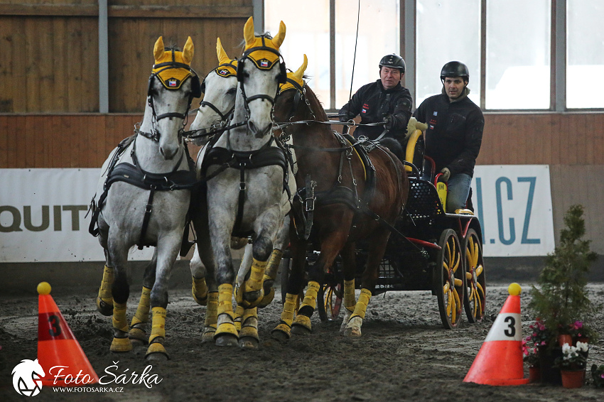 Hradištko 2019 - spřežení