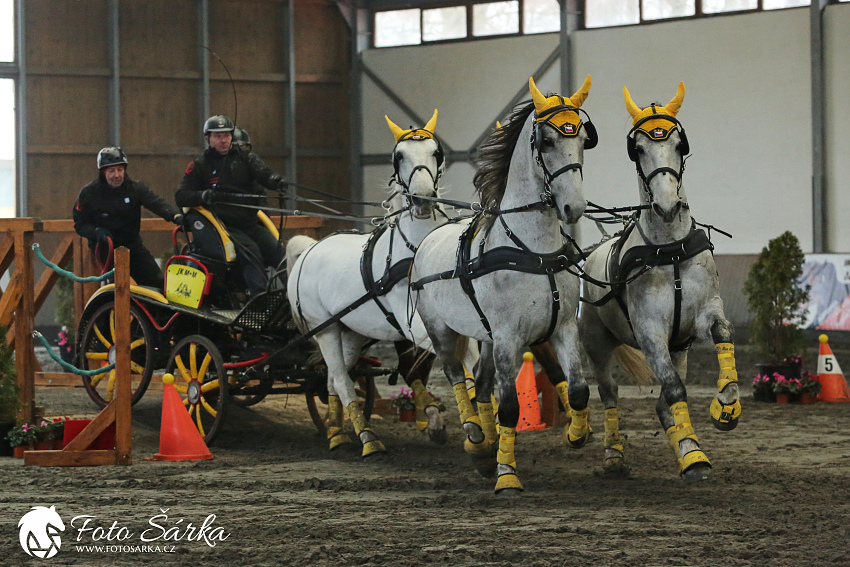 Hradištko 2019 - spřežení