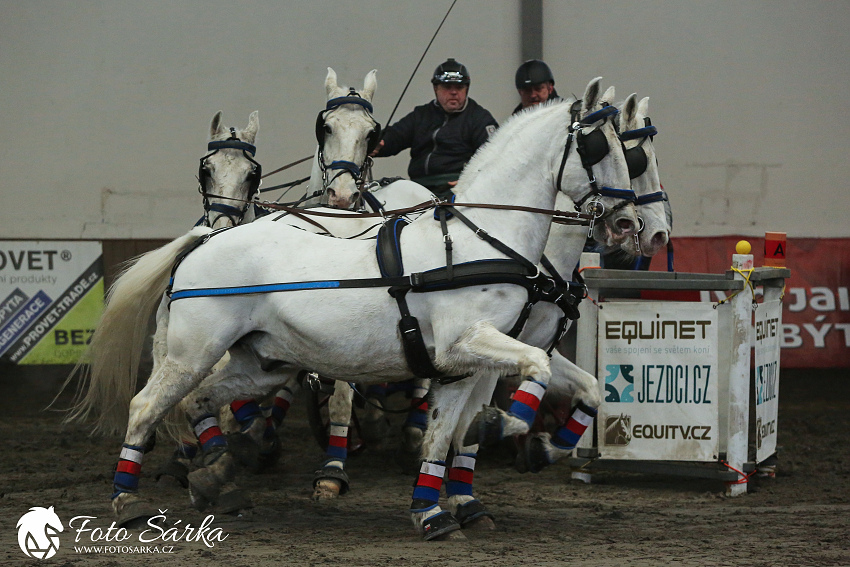 Hradištko 2019 - spřežení