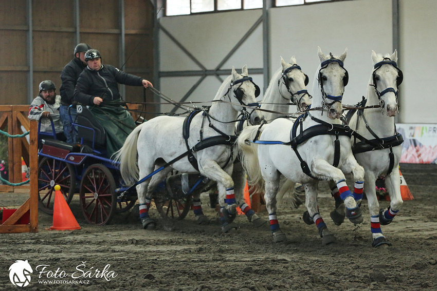 Hradištko 2019 - spřežení