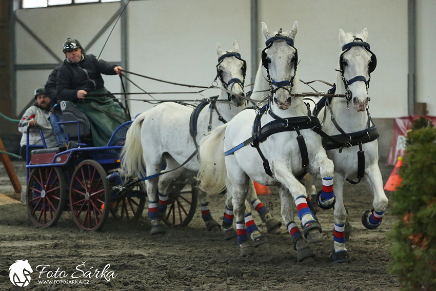 Hradištko 2019 - spřežení