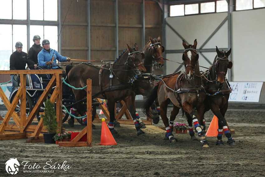 Hradištko 2019 - spřežení