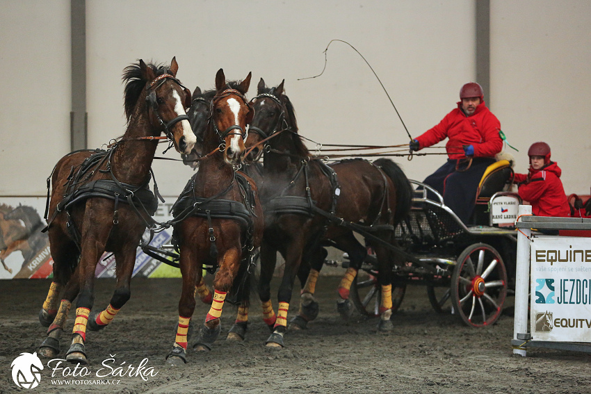 Hradištko 2019 - spřežení