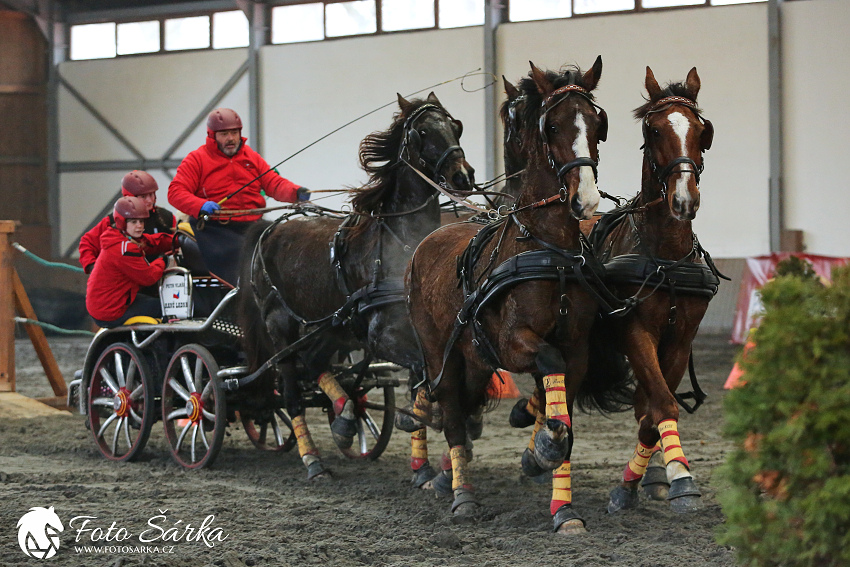 Hradištko 2019 - spřežení