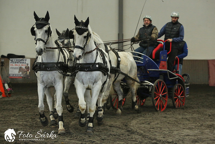 Hradištko 2019 - spřežení