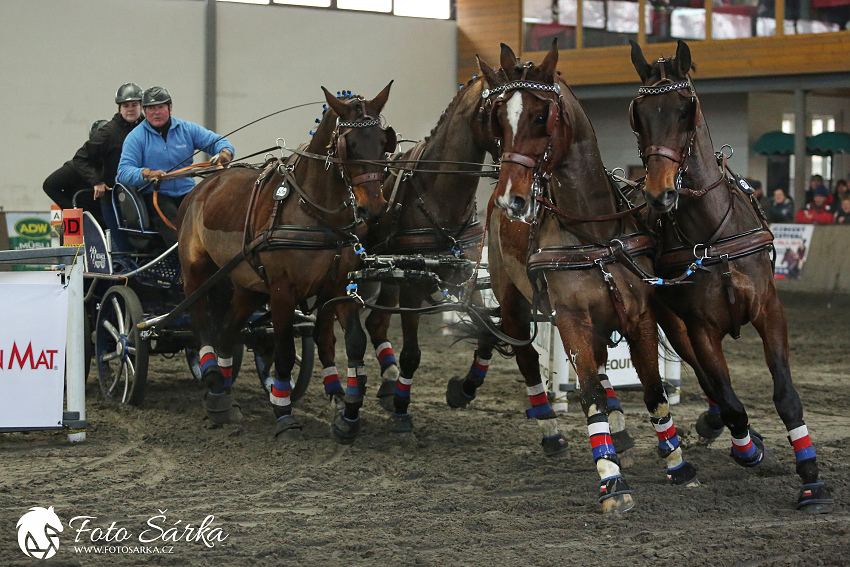 Hradištko 2019 - spřežení