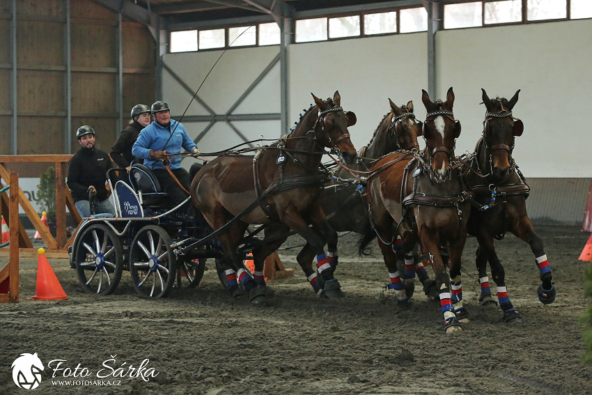 Hradištko 2019 - spřežení