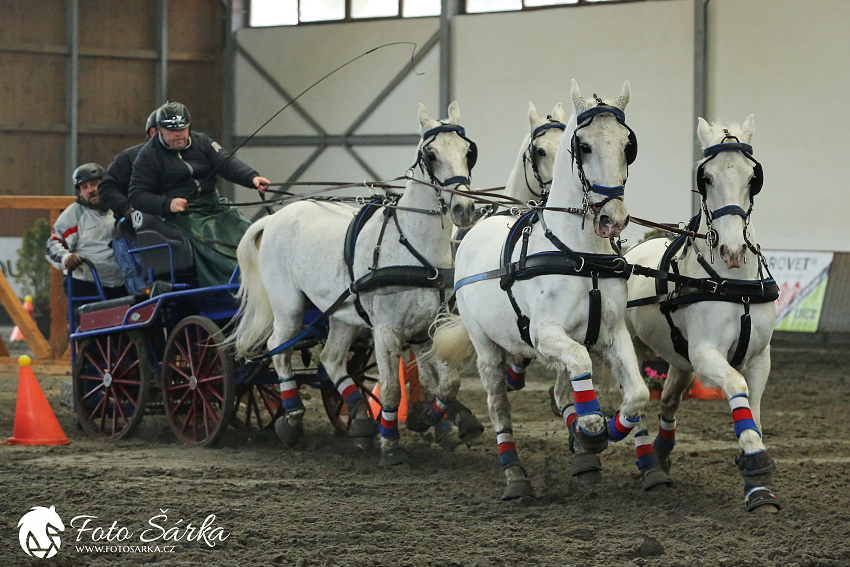 Hradištko 2019 - spřežení