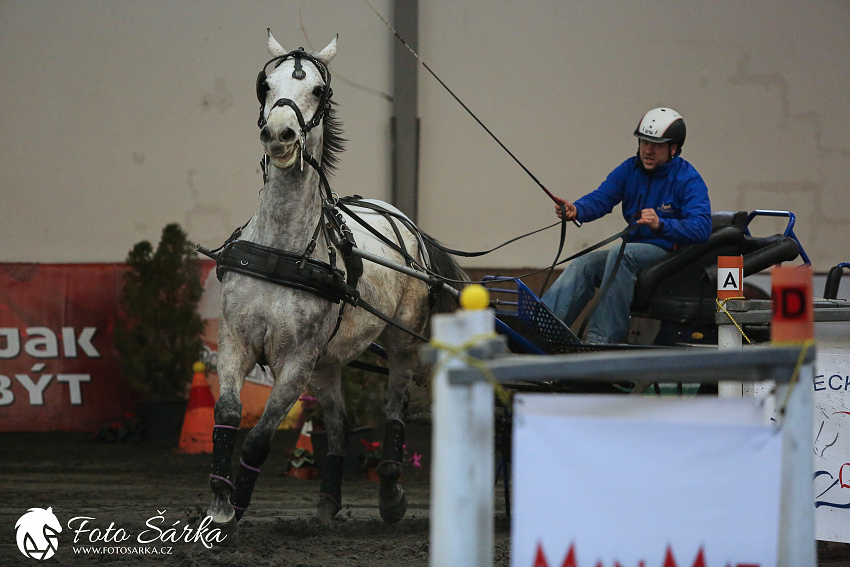 Hradištko 2019 - spřežení