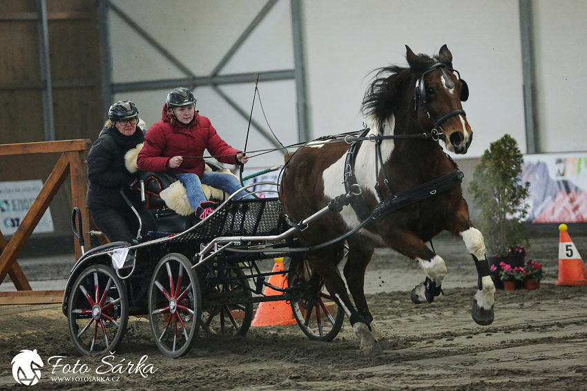 Hradištko 2019 - spřežení