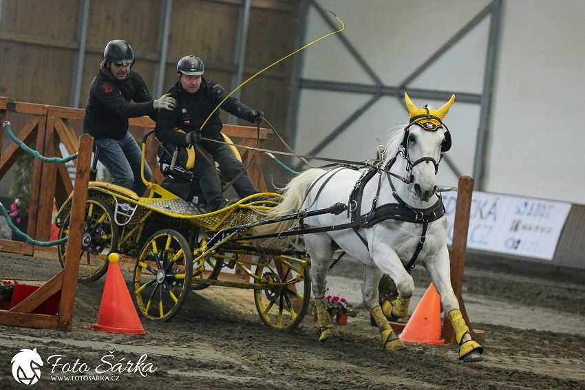 Hradištko 2019 - spřežení