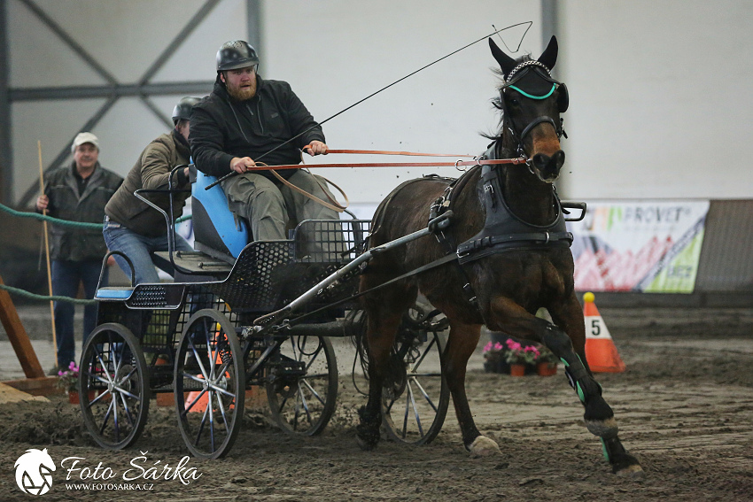 Hradištko 2019 - spřežení