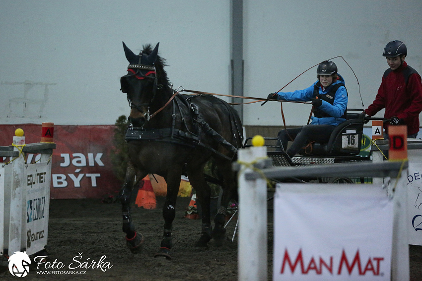 Hradištko 2019 - spřežení