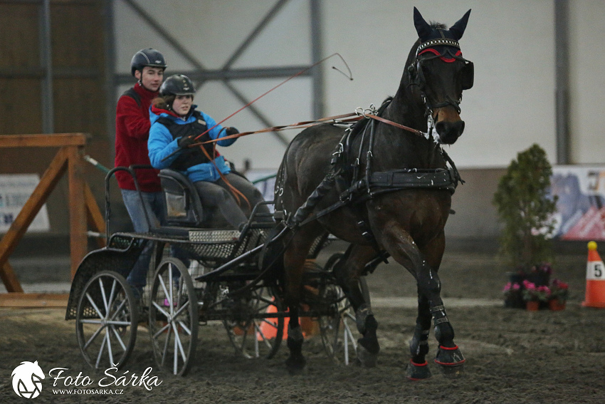 Hradištko 2019 - spřežení