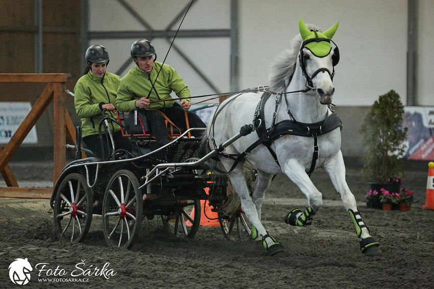Hradištko 2019 - spřežení