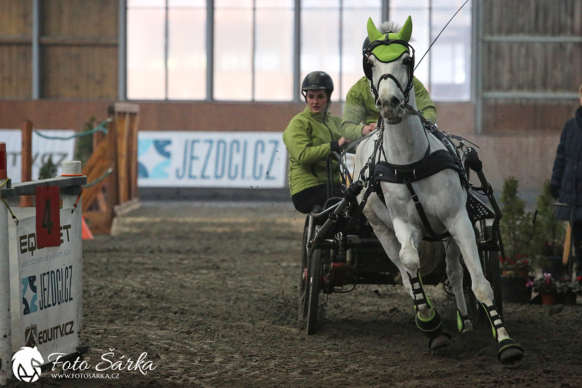 Hradištko 2019 - spřežení