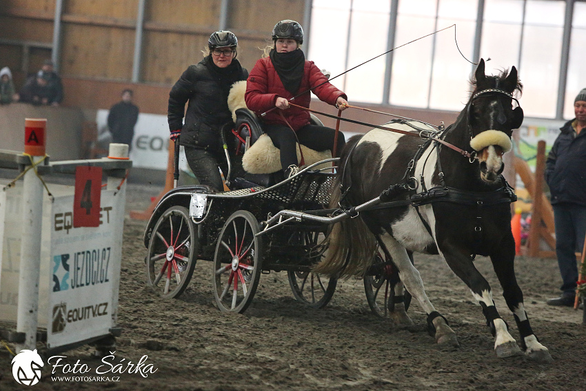 Hradištko 2019 - spřežení