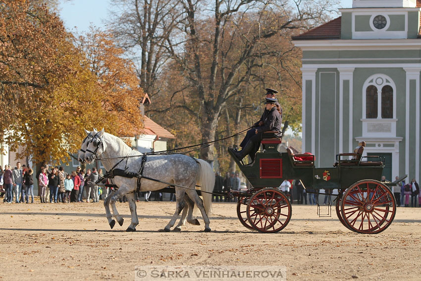 Hubertova jízda