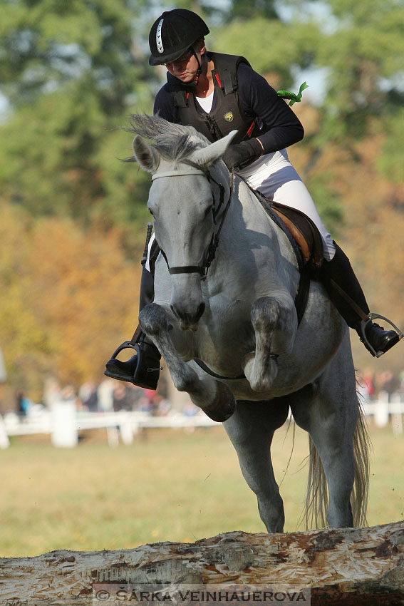 Hubertova jízda