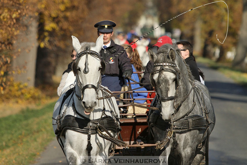 Hubertova jízda