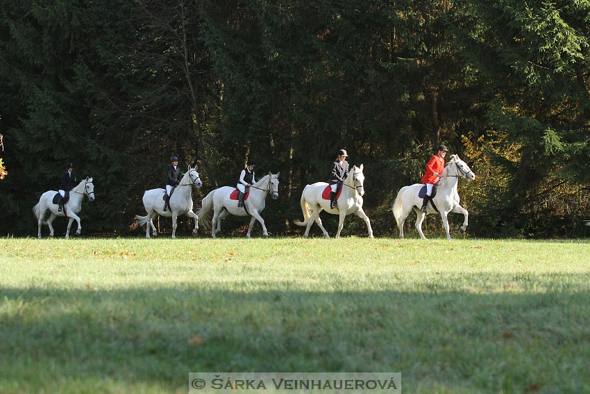 Hubertova jízda