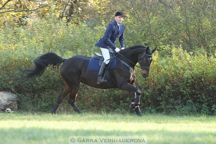 Hubertova jízda