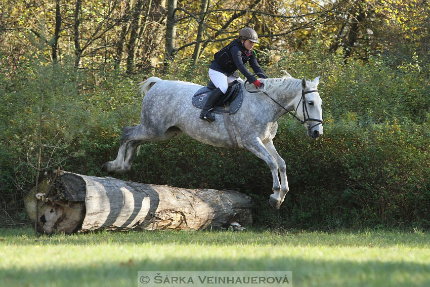 Hubertova jízda