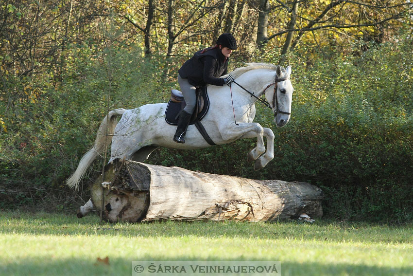 Hubertova jízda