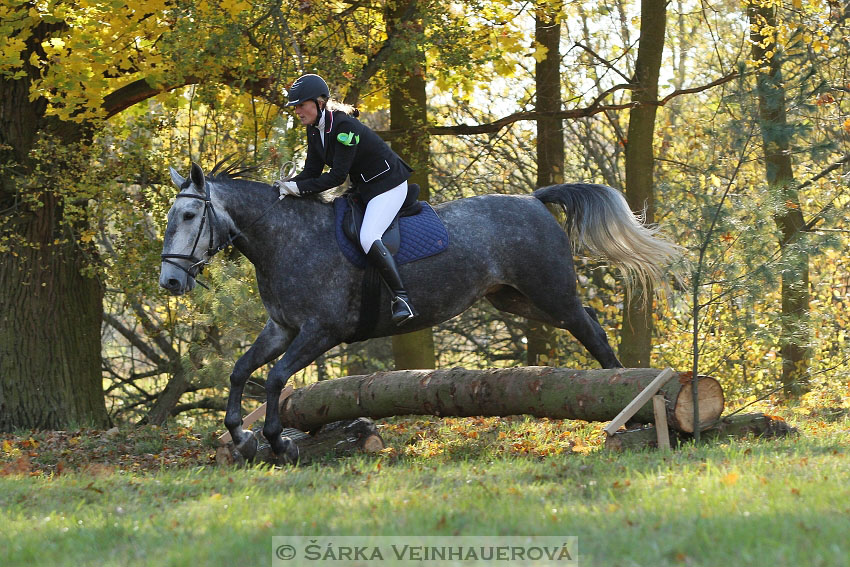 Hubertova jízda