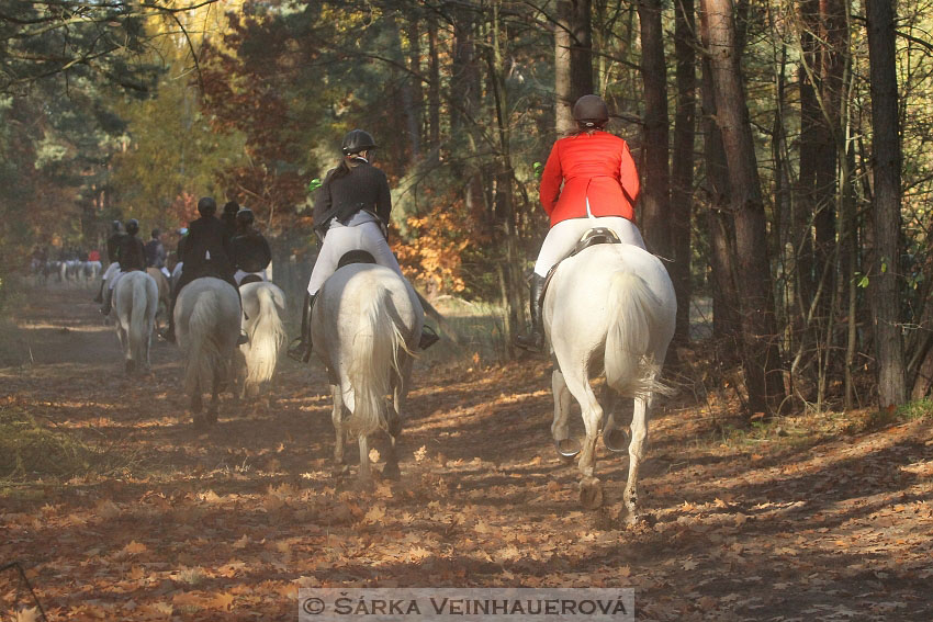 Hubertova jízda