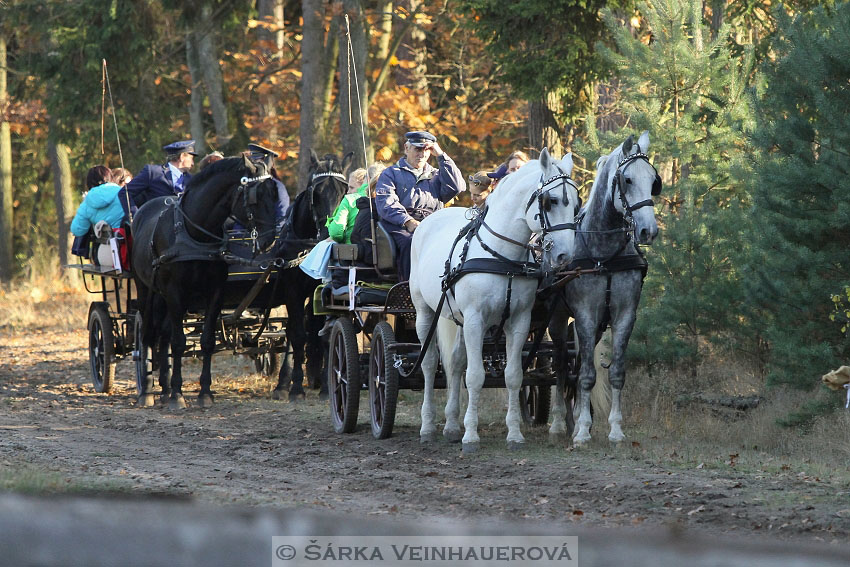 Hubertova jízda